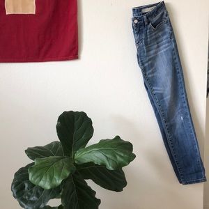 Anthropologie - Pilcro and the Letterpress Stet 25
